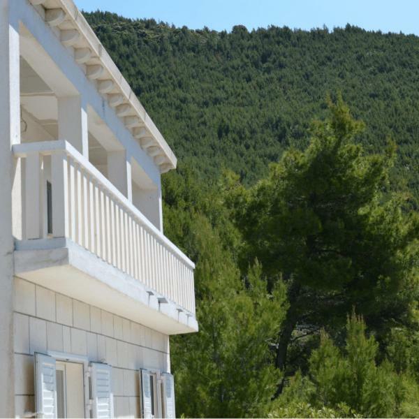 Villa Victor Babino Polje 外观 照片