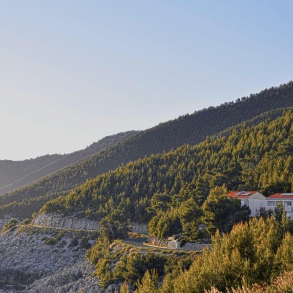 Villa Victor Babino Polje 外观 照片