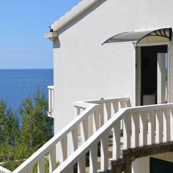 Villa Victor Babino Polje 外观 照片
